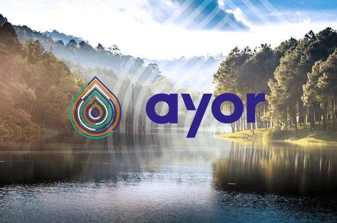 3C-EVOLUTION accompagne le groupe AYOR dans la digitalisation de son référentiel produit